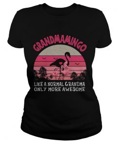 Grandmamingo like a normal grandma only more awesome vintage retro  Classic Ladies