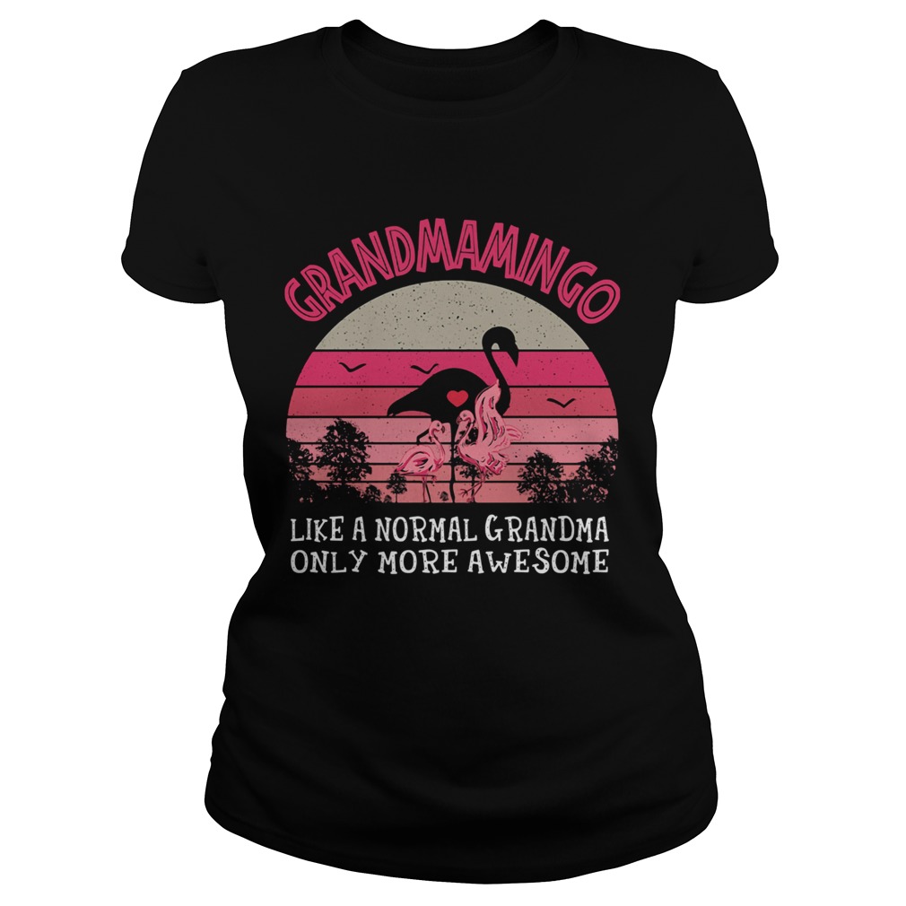 Grandmamingo like a normal grandma only more awesome vintage retro Classic Ladies