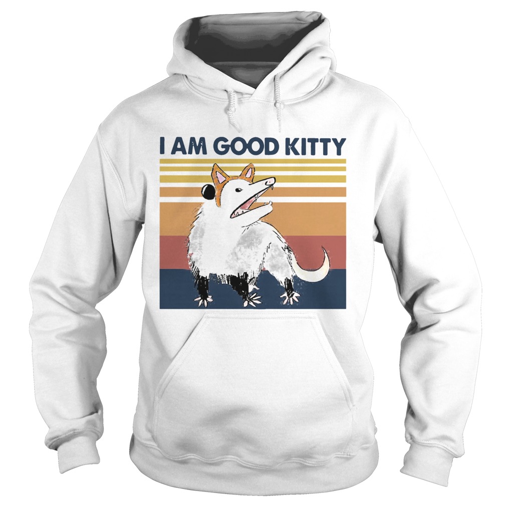 Opossum I Am Good Kitty Vintage Hoodie