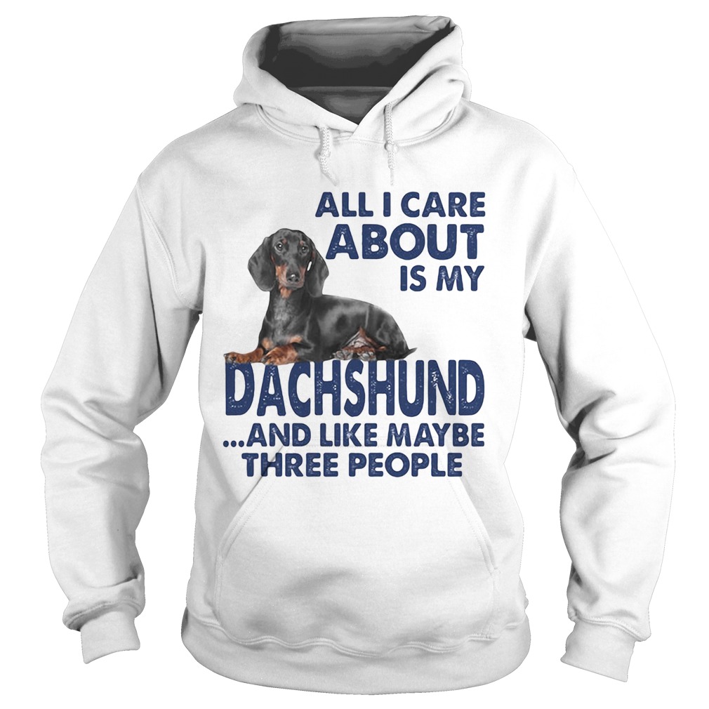 All i care about is my dachshund and like maybe three people Hoodie