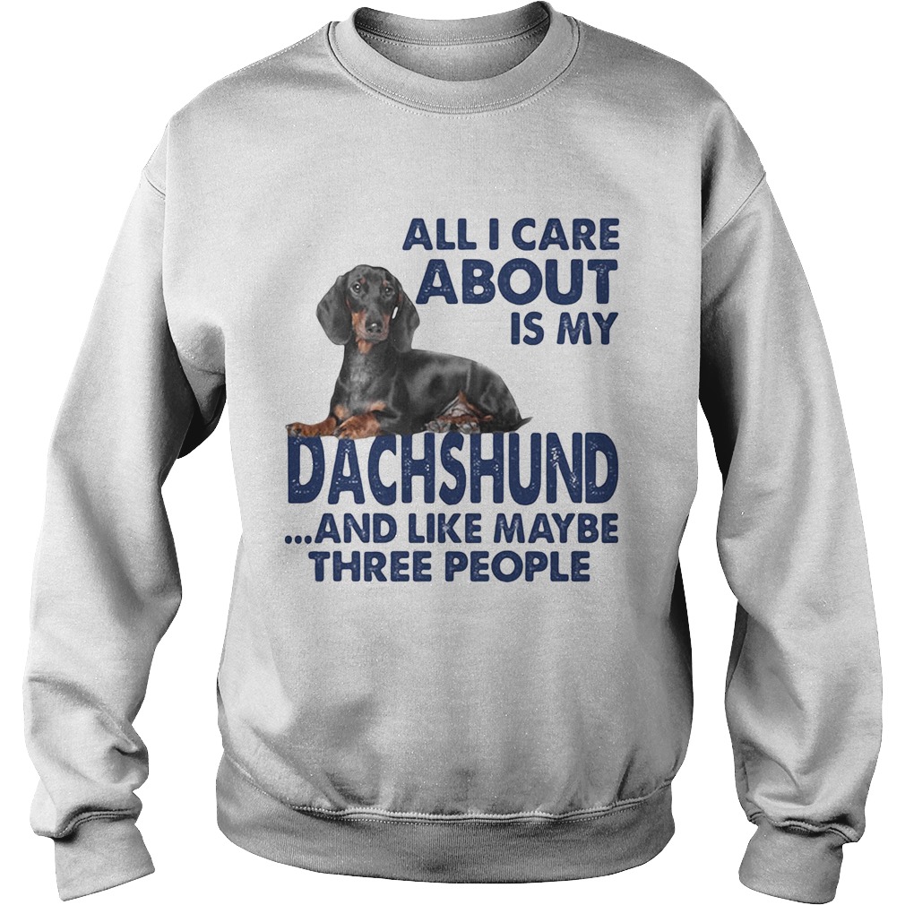 All i care about is my dachshund and like maybe three people Sweatshirt