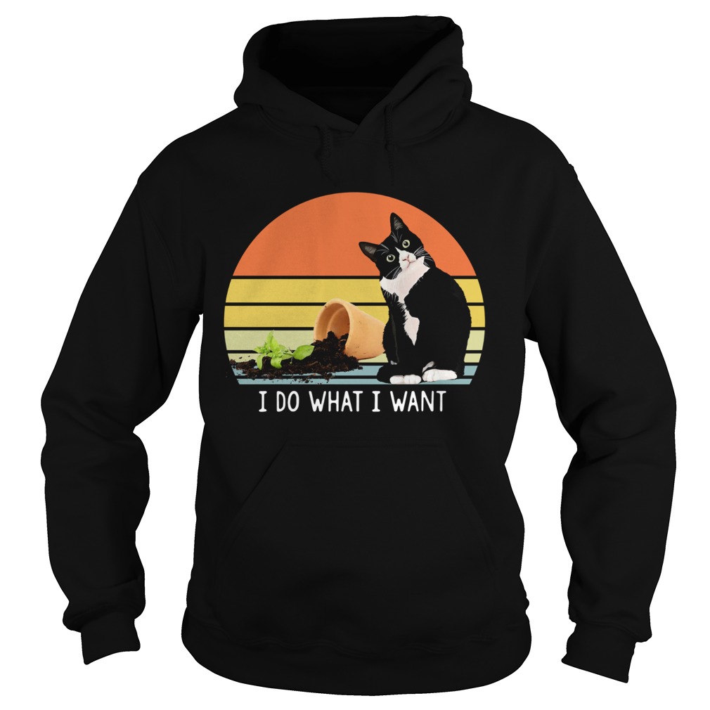 Black cat I do what I want vintage Hoodie