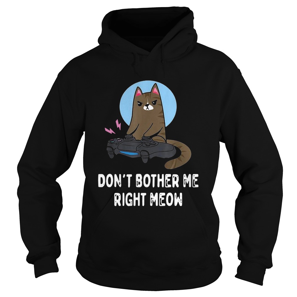 Cat Gamer Dont Bother Me Right Meow Hoodie