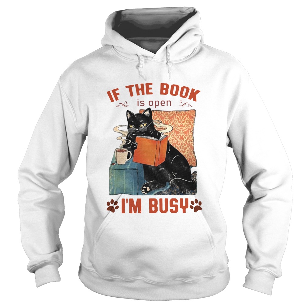 Cat Read Books If The Book Is Open Im Busy Hoodie