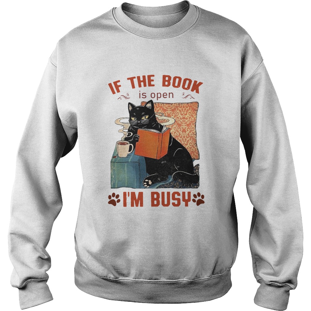 Cat Read Books If The Book Is Open Im Busy Sweatshirt