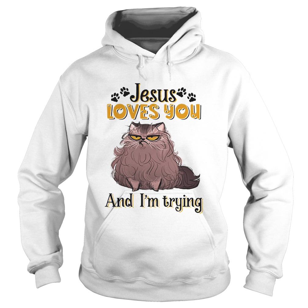 Cat brown jesus loves you and im trying Hoodie