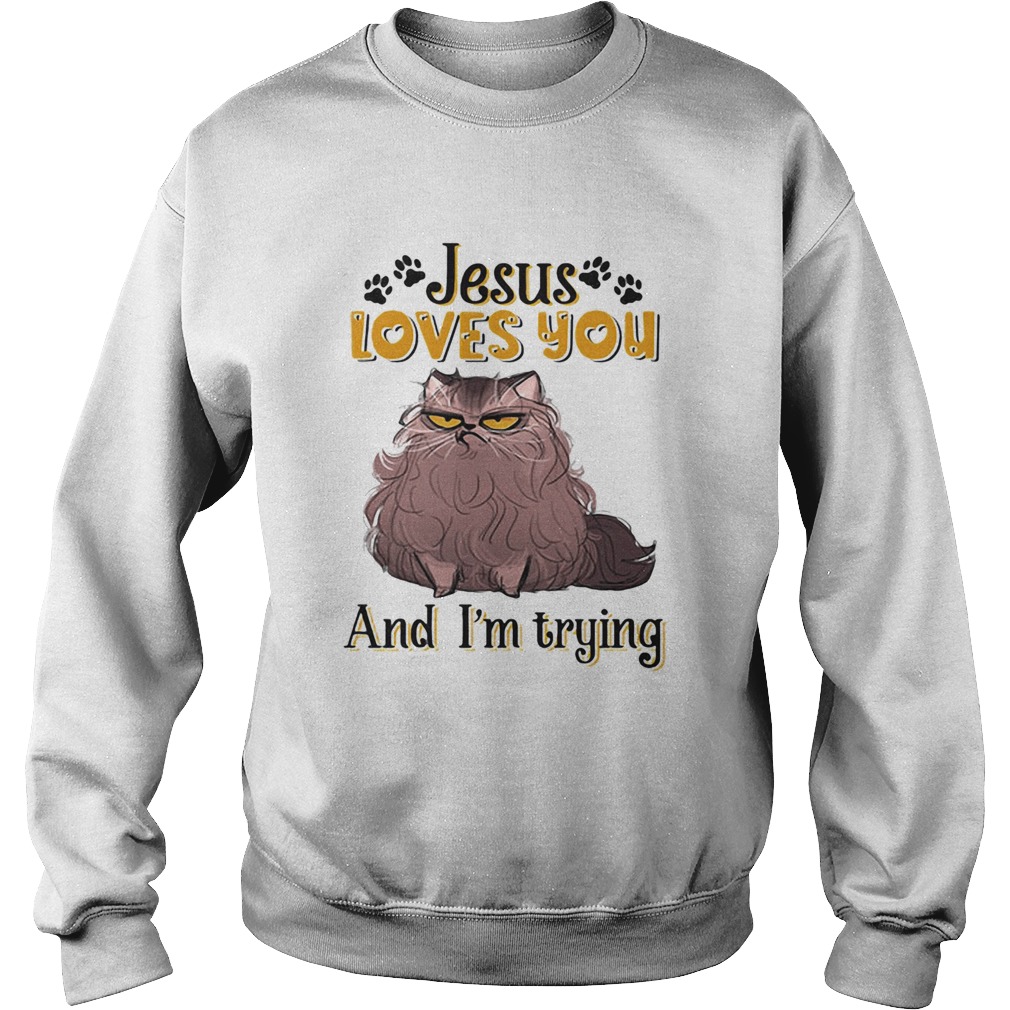 Cat brown jesus loves you and im trying Sweatshirt