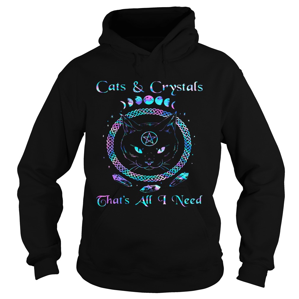 Cats and crystals thats all i need Hoodie