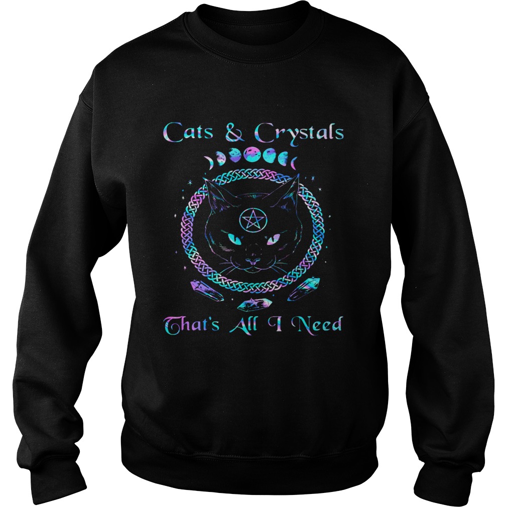 Cats and crystals thats all i need Sweatshirt