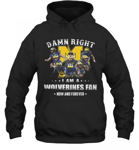 Damn Right I Am A Wolverines Fan Now And Forever T-Shirt Unisex Hoodie