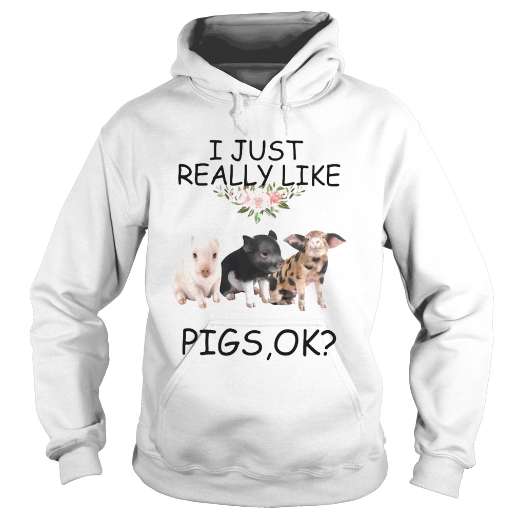 I just really like pigs ok Hoodie