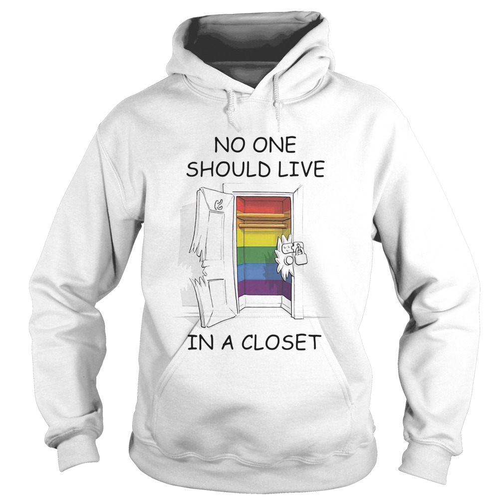 Lgbt no one should live in a closet Hoodie