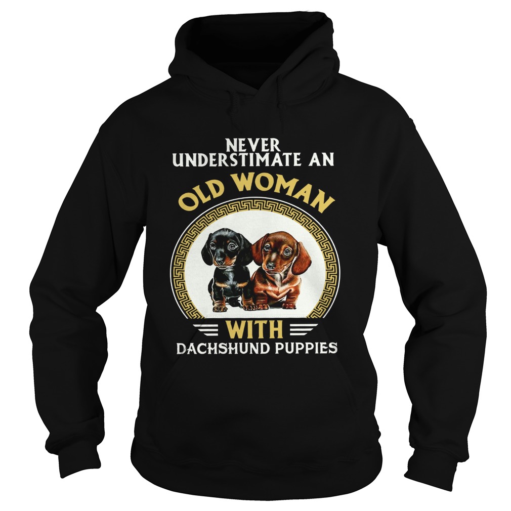 Never Underestimate An Old Woman With Dachshund Puppies Hoodie