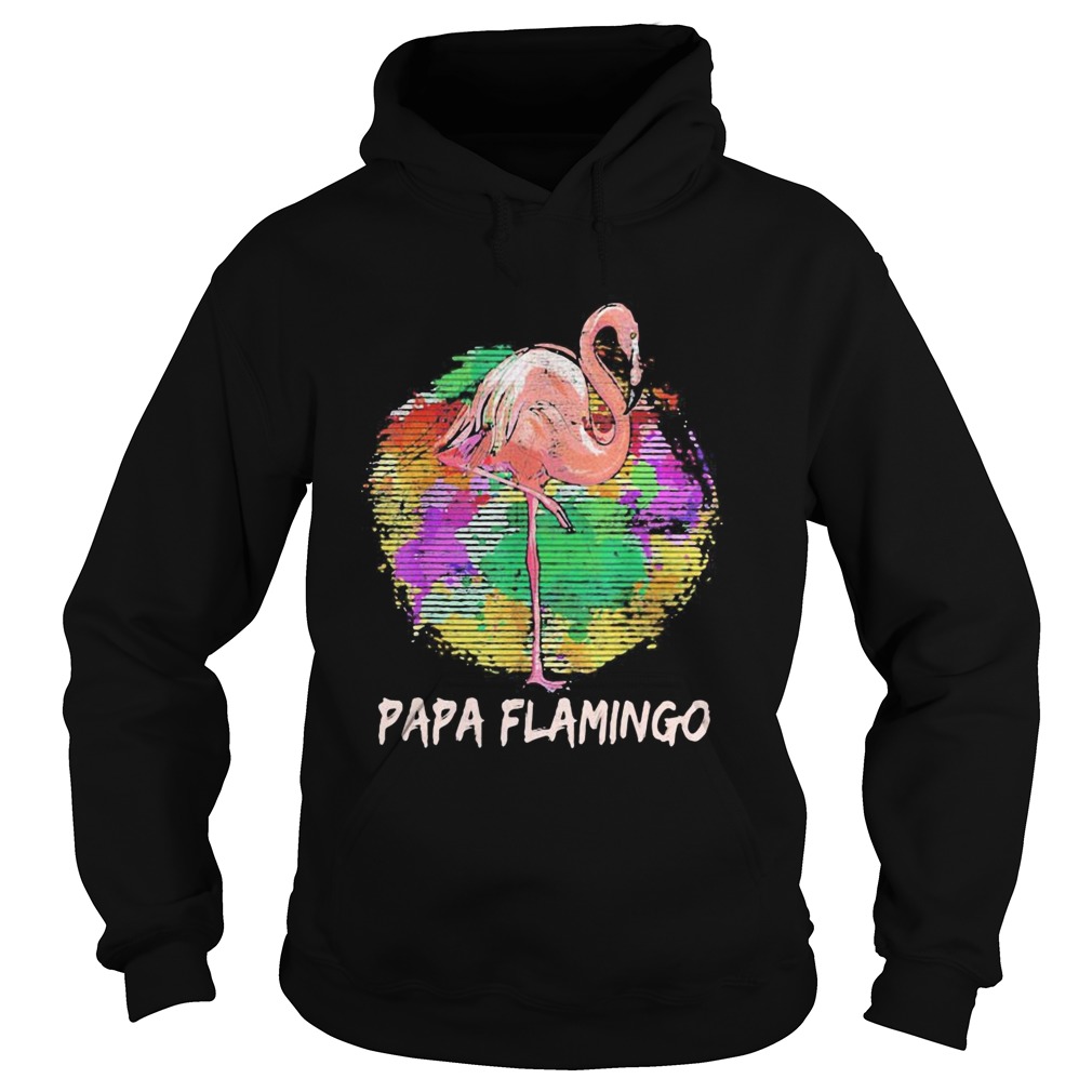 Papa Flamingo Color Circle Hoodie