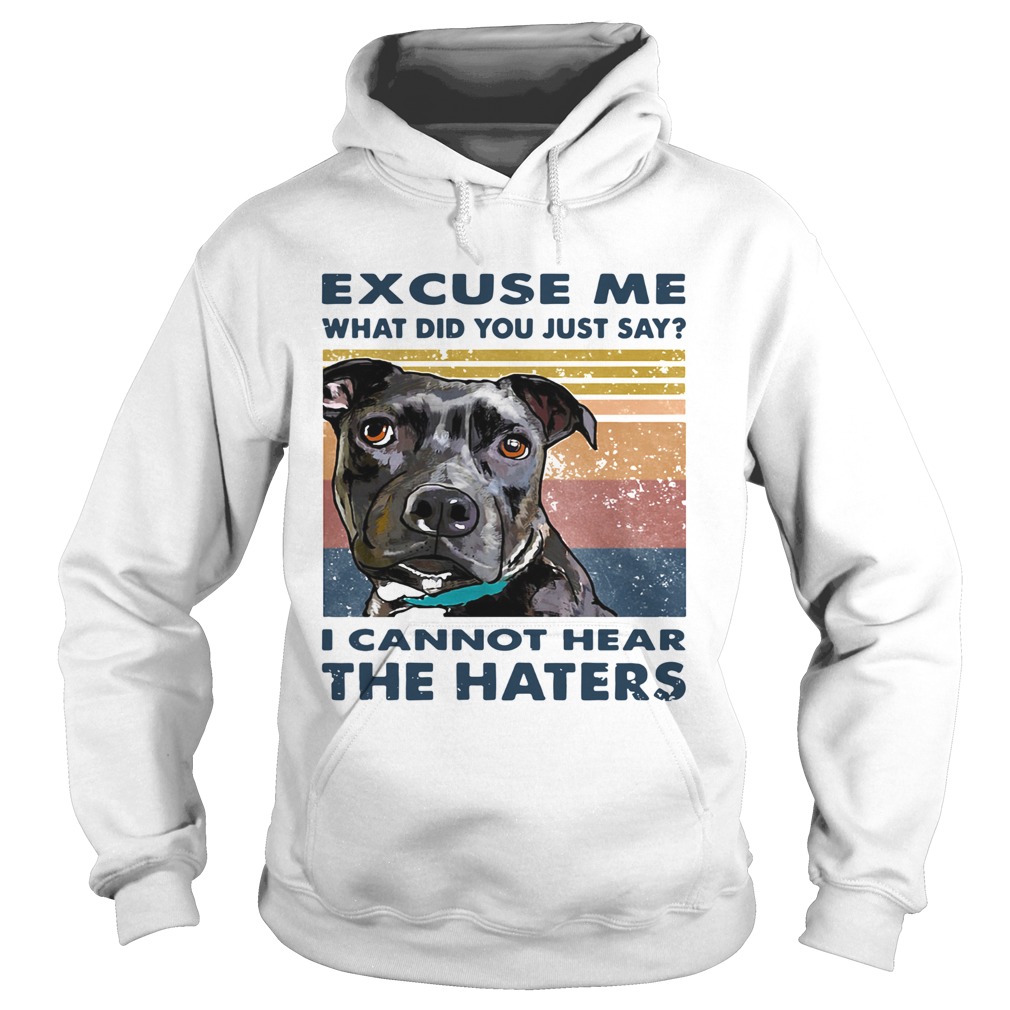 Pitbull Excuse Me What Did You Just Say I Cannot Hear The Haters Vintage Hoodie