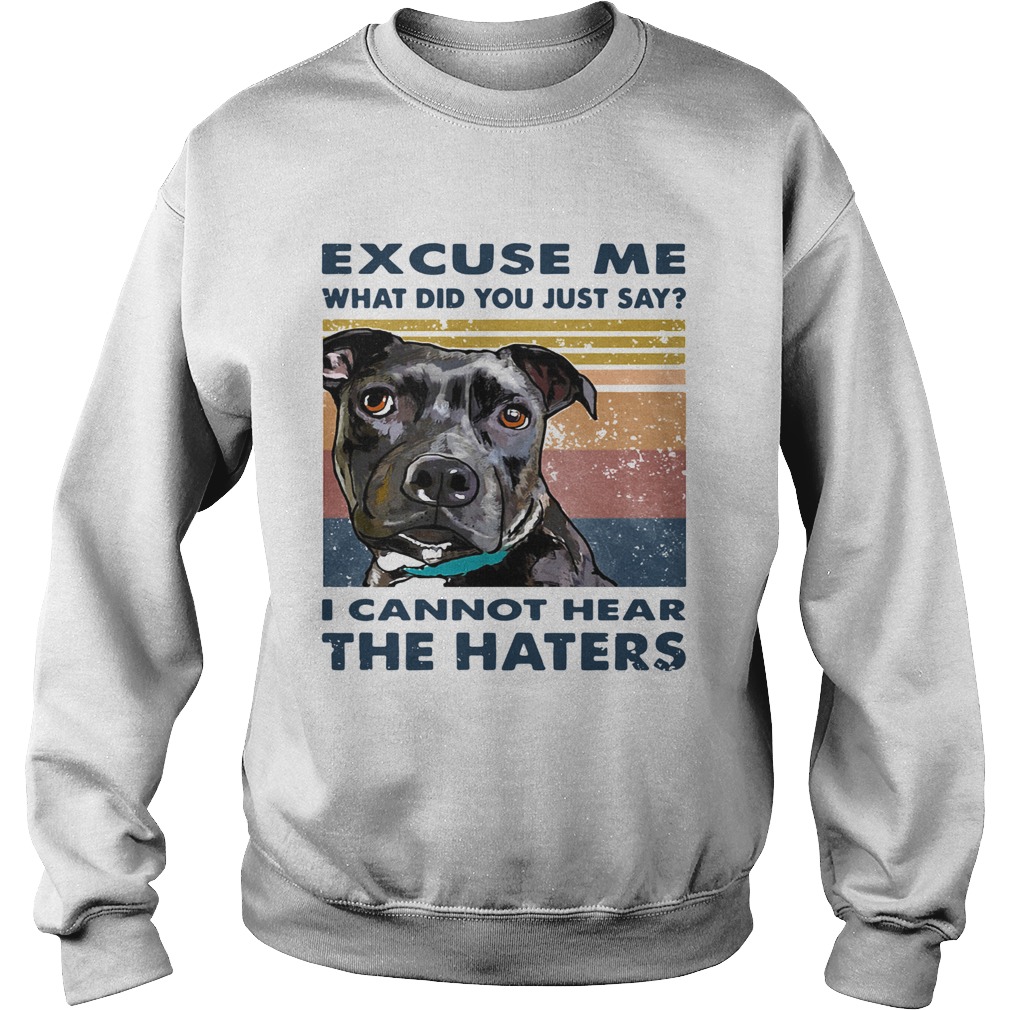 Pitbull Excuse Me What Did You Just Say I Cannot Hear The Haters Vintage Sweatshirt