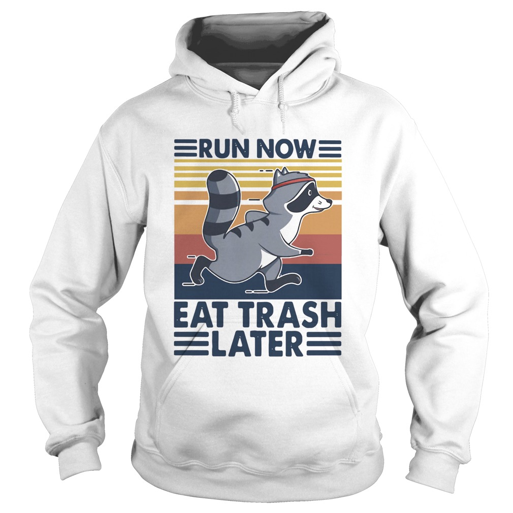 Run Now Eat Trash Later Vintage Hoodie