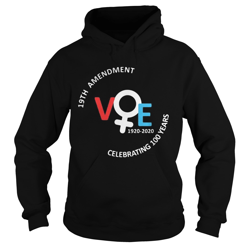 19th amendment vote 1920 2020 celebrating 100 years america Hoodie