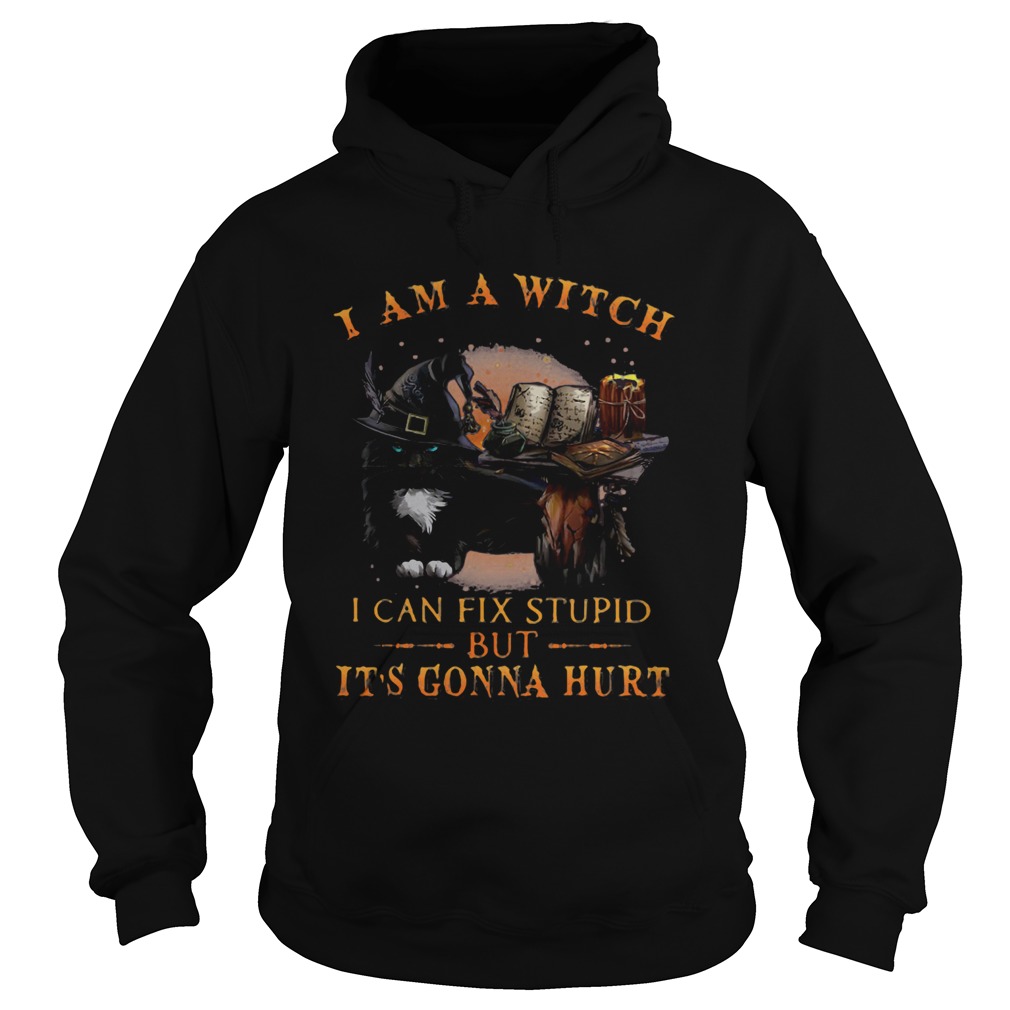 Black Cat I Am A Witch I Can Fix Stupid But Its Gonna Hurt Hoodie