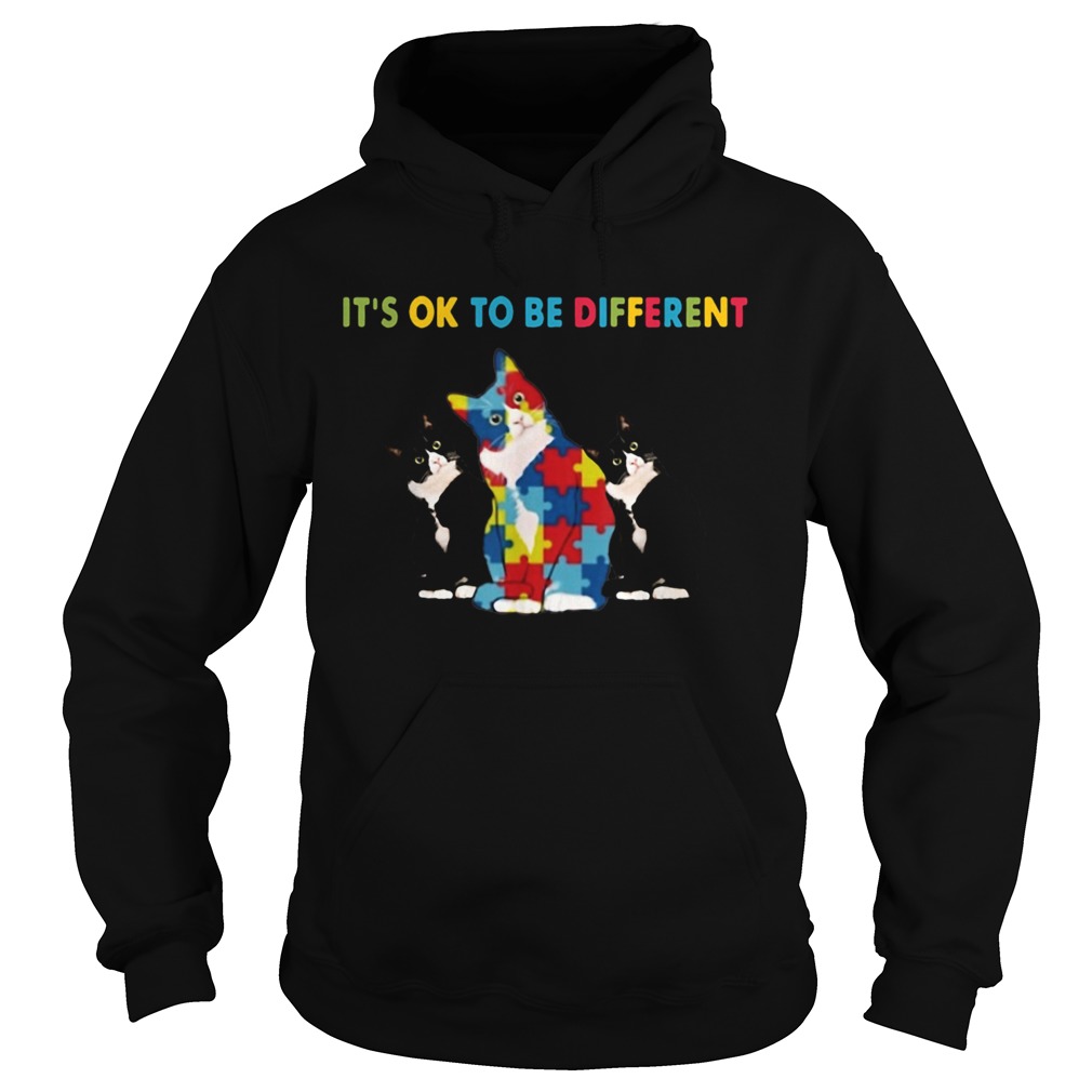 Cat Autism Its Ok To Be Different Hoodie