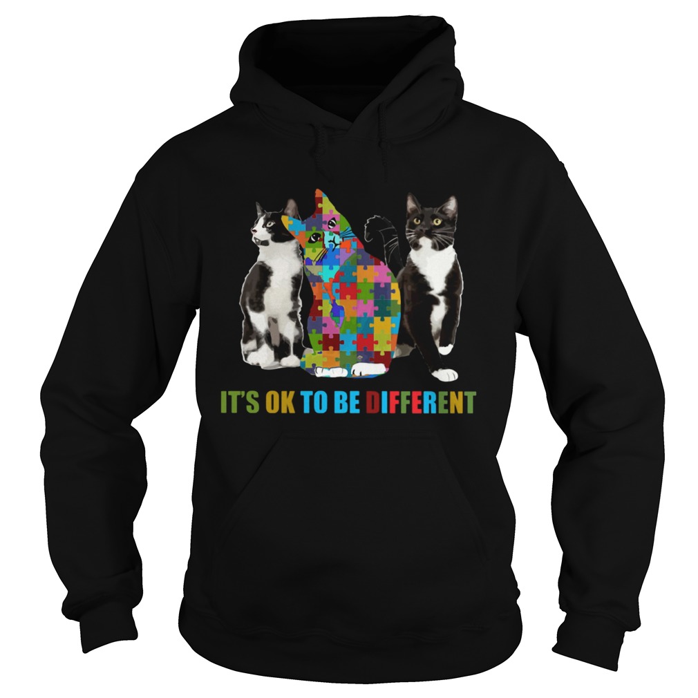 Cat autism Its OK to be different  Hoodie