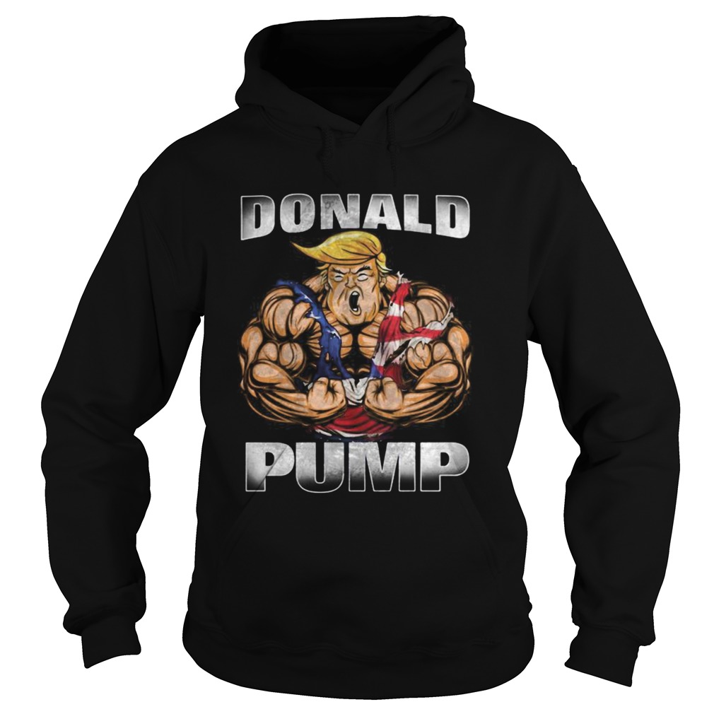 Donald trump pump american flag independence day Hoodie