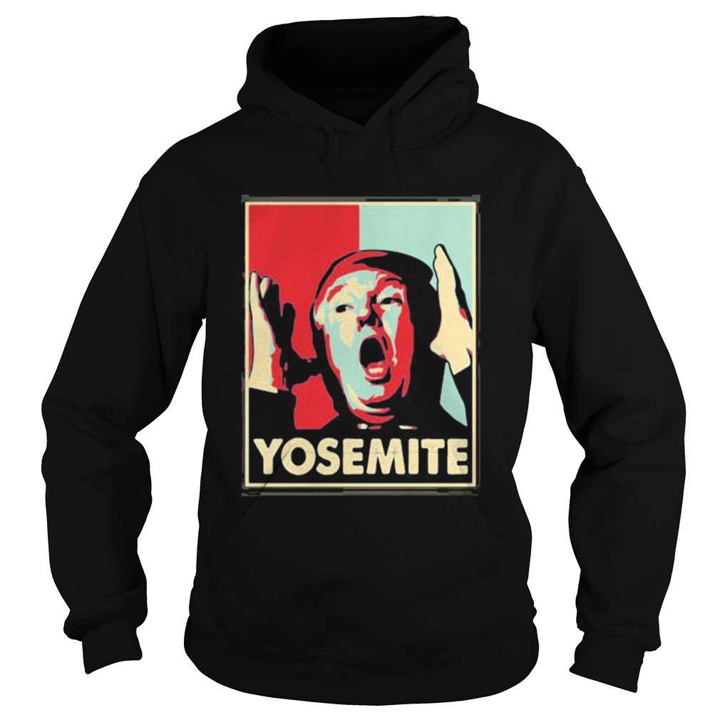 Donald trump yosemite art Hoodie