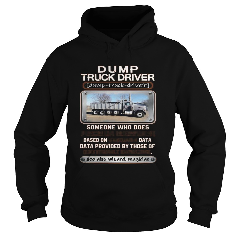 Dump truck driver someone who does precision guesswork based on unreliable data Hoodie