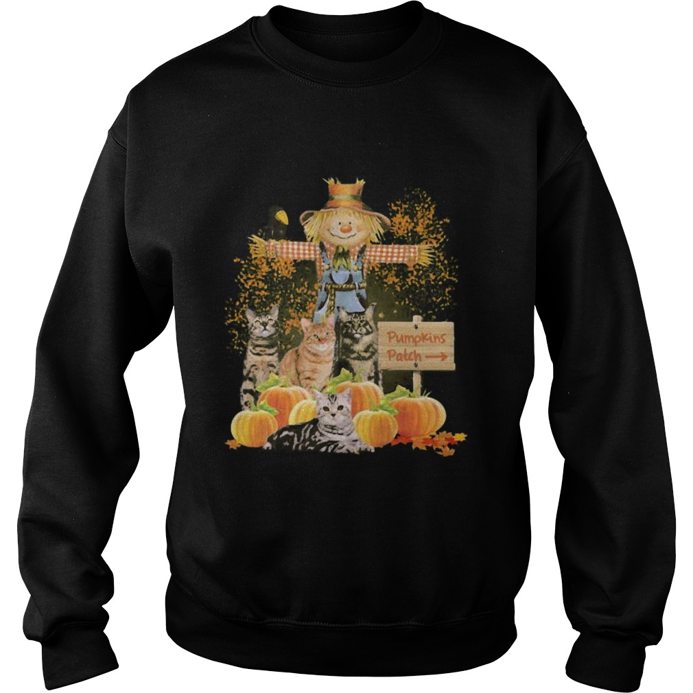 Halloween cats figurehead pumpkins patch Sweatshirt