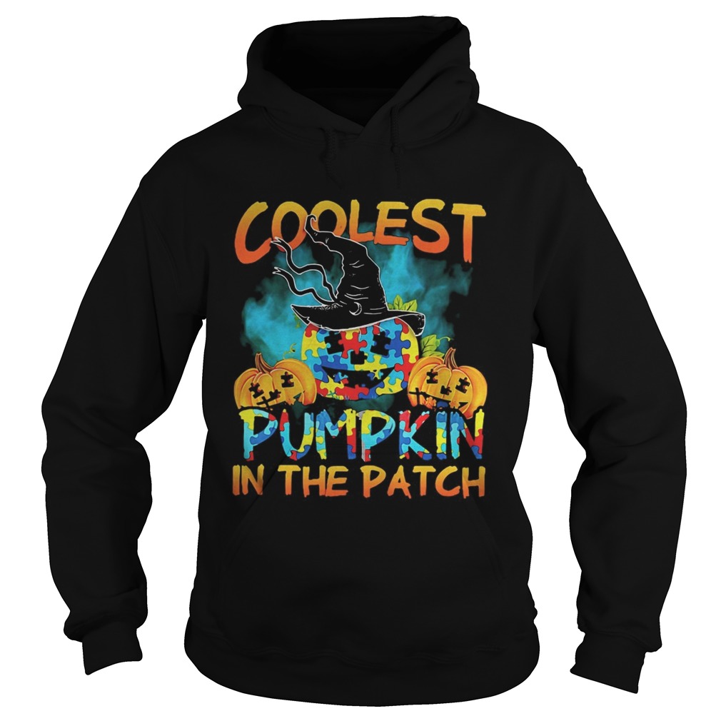 Halloween witch coolest pumpkin in the patch autism Hoodie