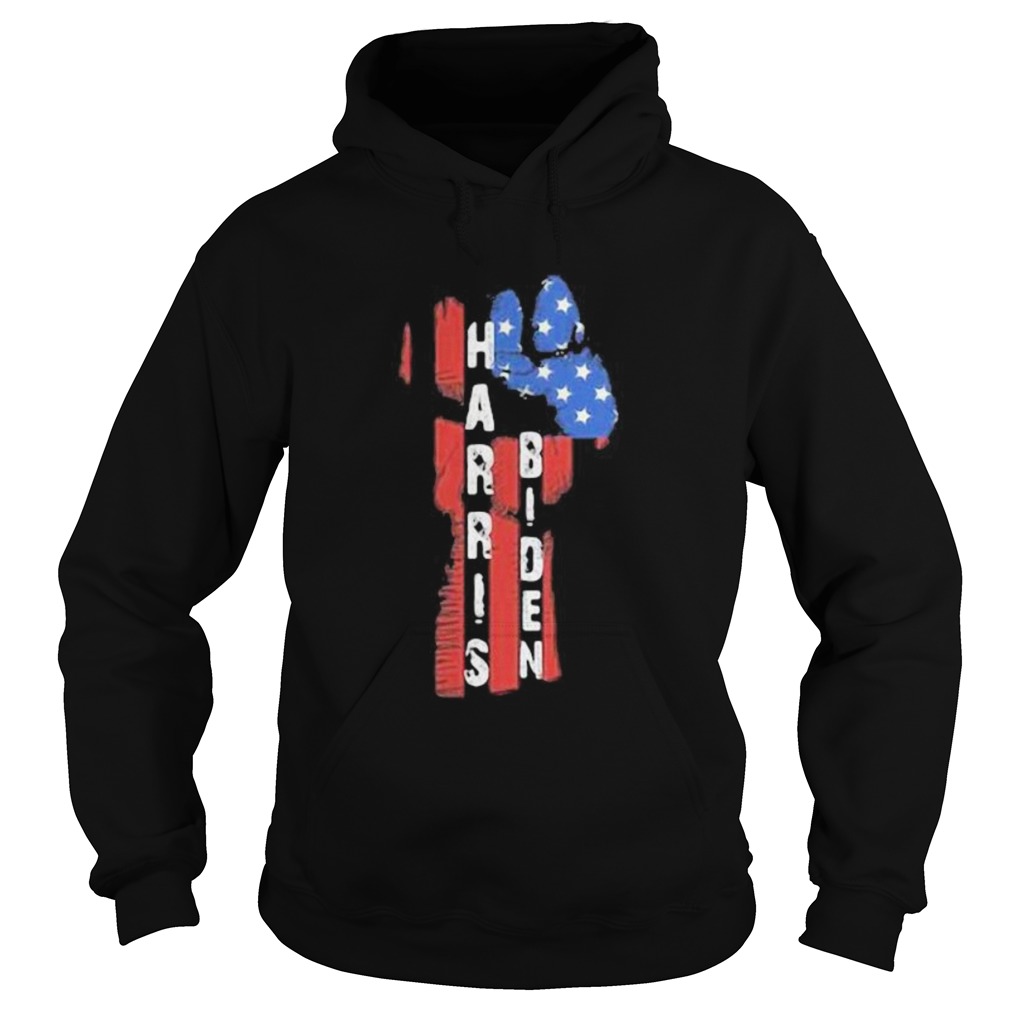 Harris biden black lives matter american flag Hoodie