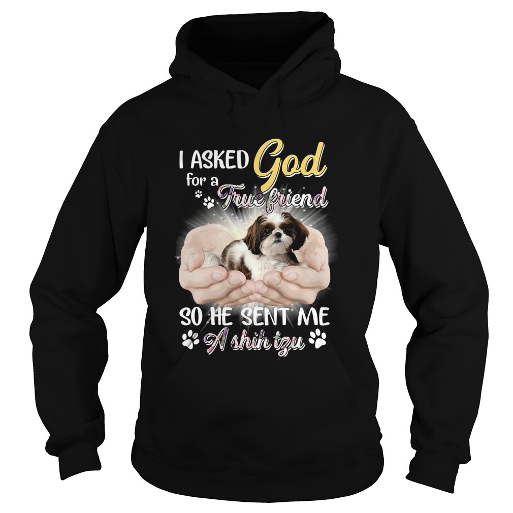 I Asked God For A True Friend So He Sent Me A Shih Tzu Hoodie