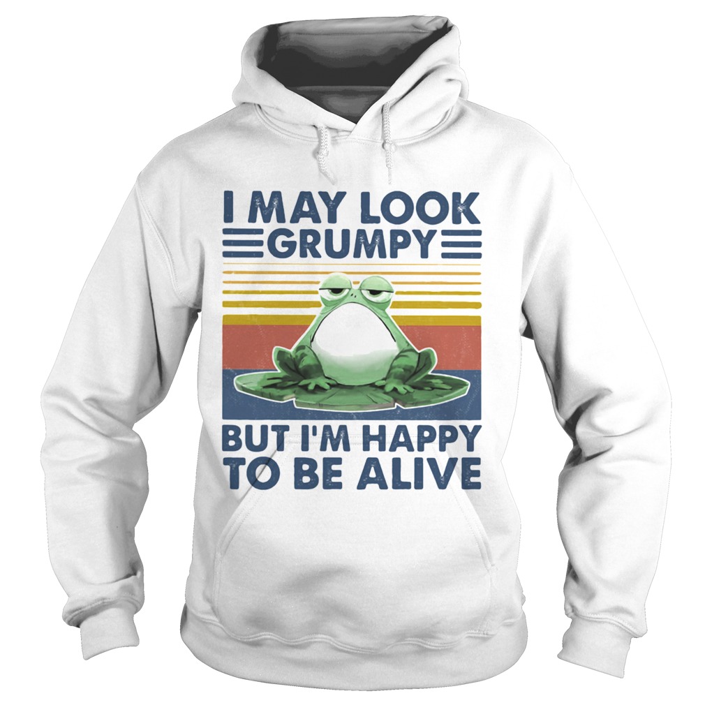 I May Look Grumpy But Im Happy To Be Alive Frog Vintage Retro Hoodie