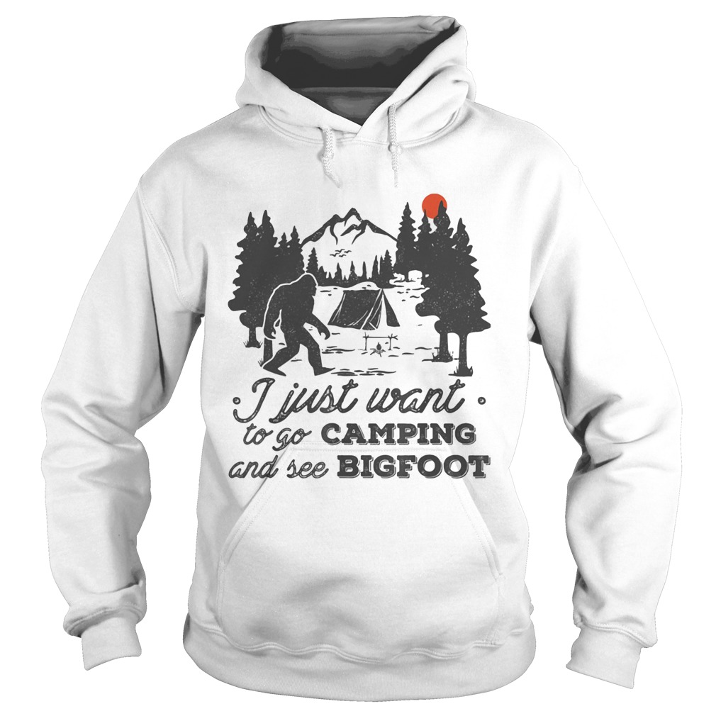 I just want to go camping and see bigfoot sunset Hoodie