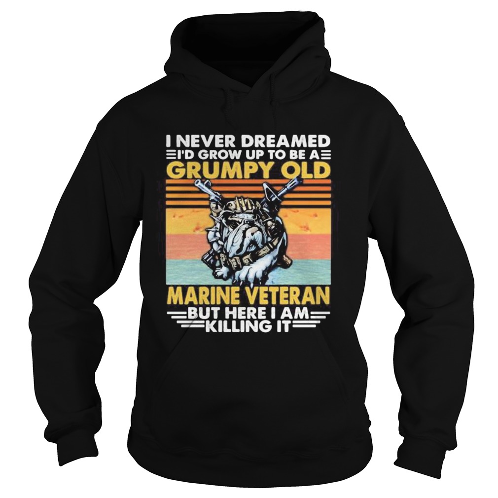 I never dreamed Id grow up to be a grumpy old marine veteran but here i am killing it vintage retr Hoodie