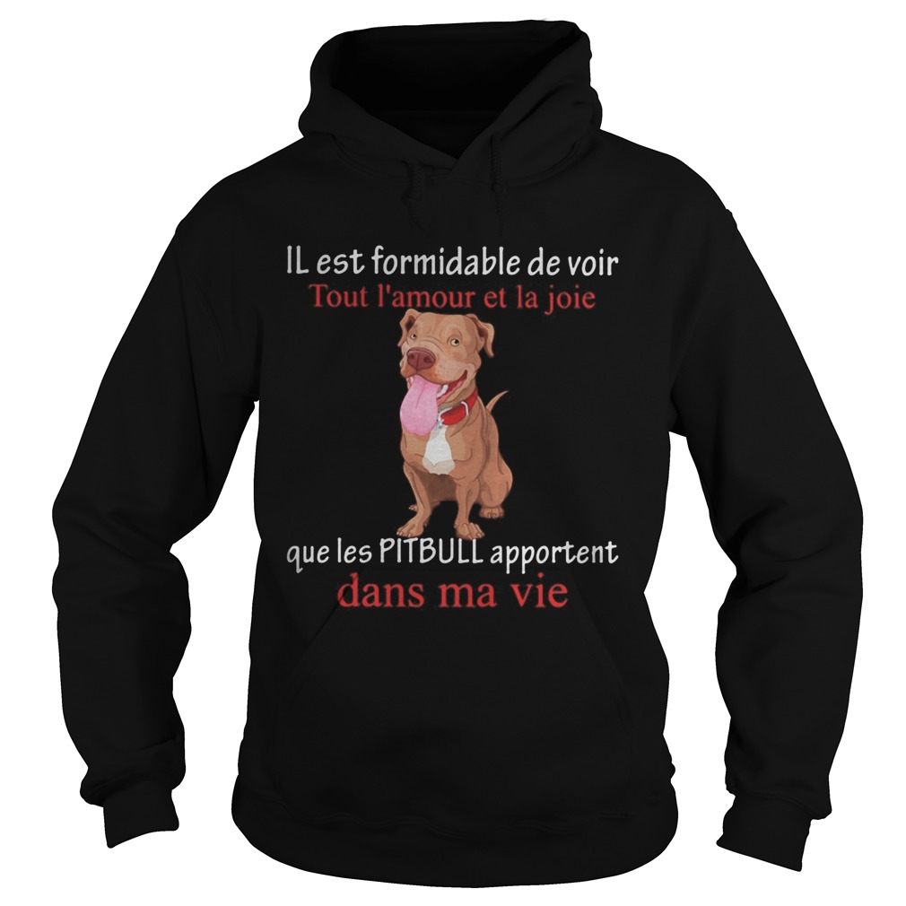 IL est formidable de voir Tout lamour et la joie que les Pitpull apportent dans ma vie Hoodie