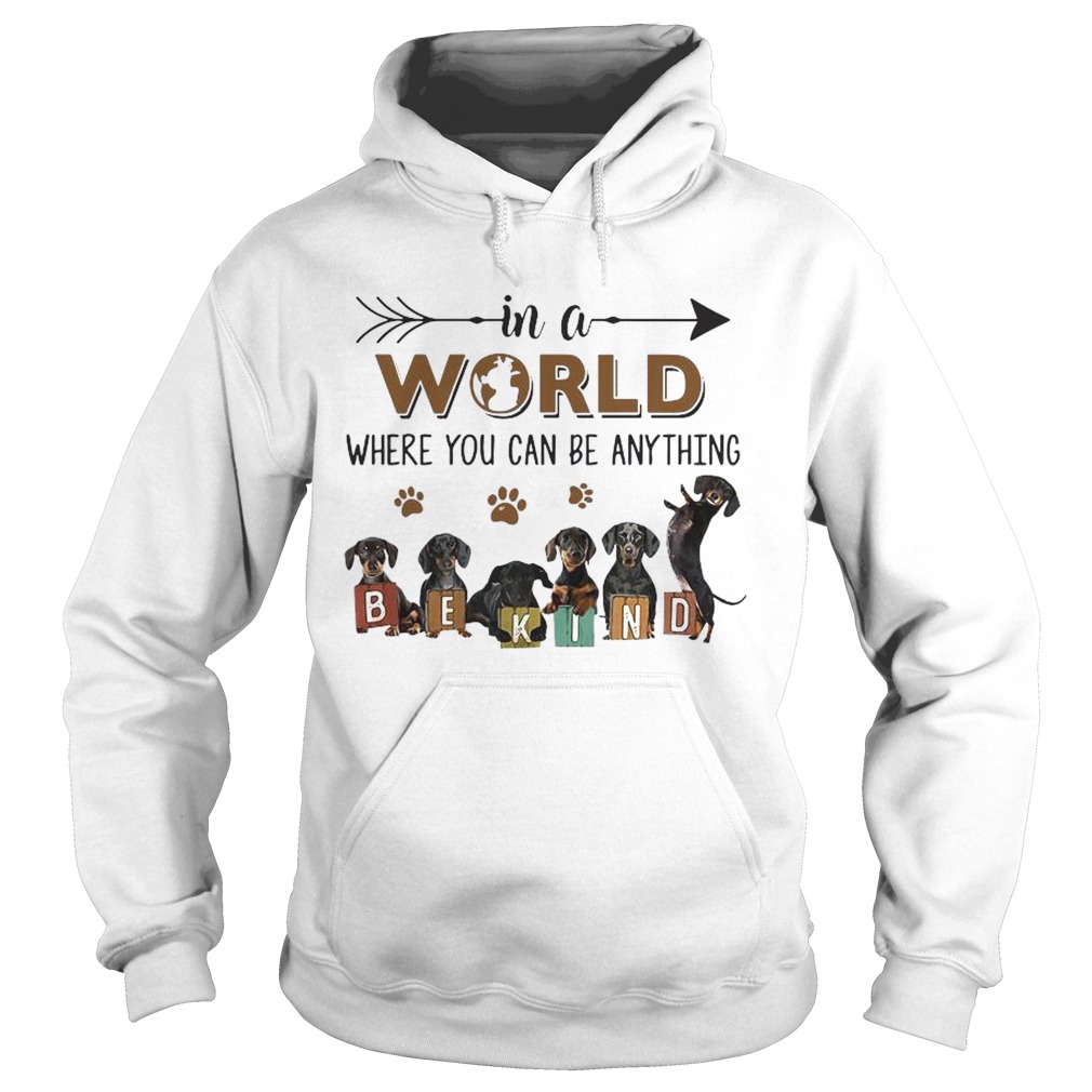 In A World Where You Can Be Anything Be Kind Hoodie