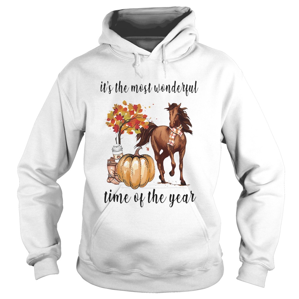 Its The Most Wonderful Time Of Year Fall Autumn Horse Pumpkin Hoodie