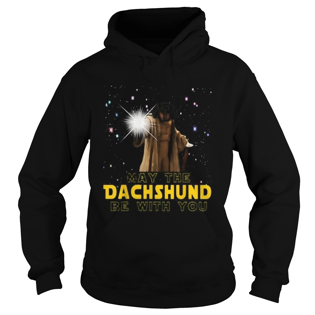 May the dachshund be with you star Hoodie