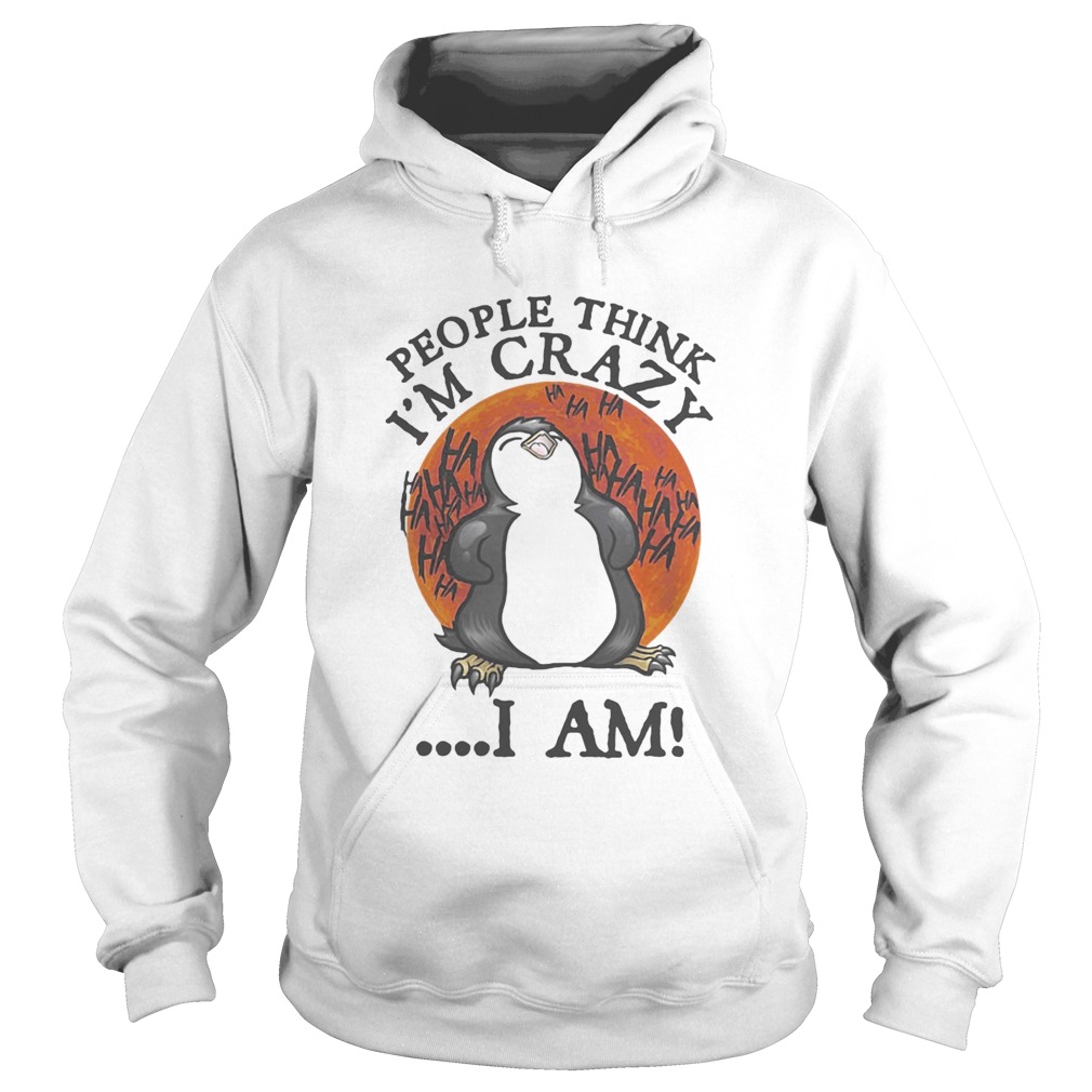 People Think Im Crazy I Am Penguin Sunset Hoodie