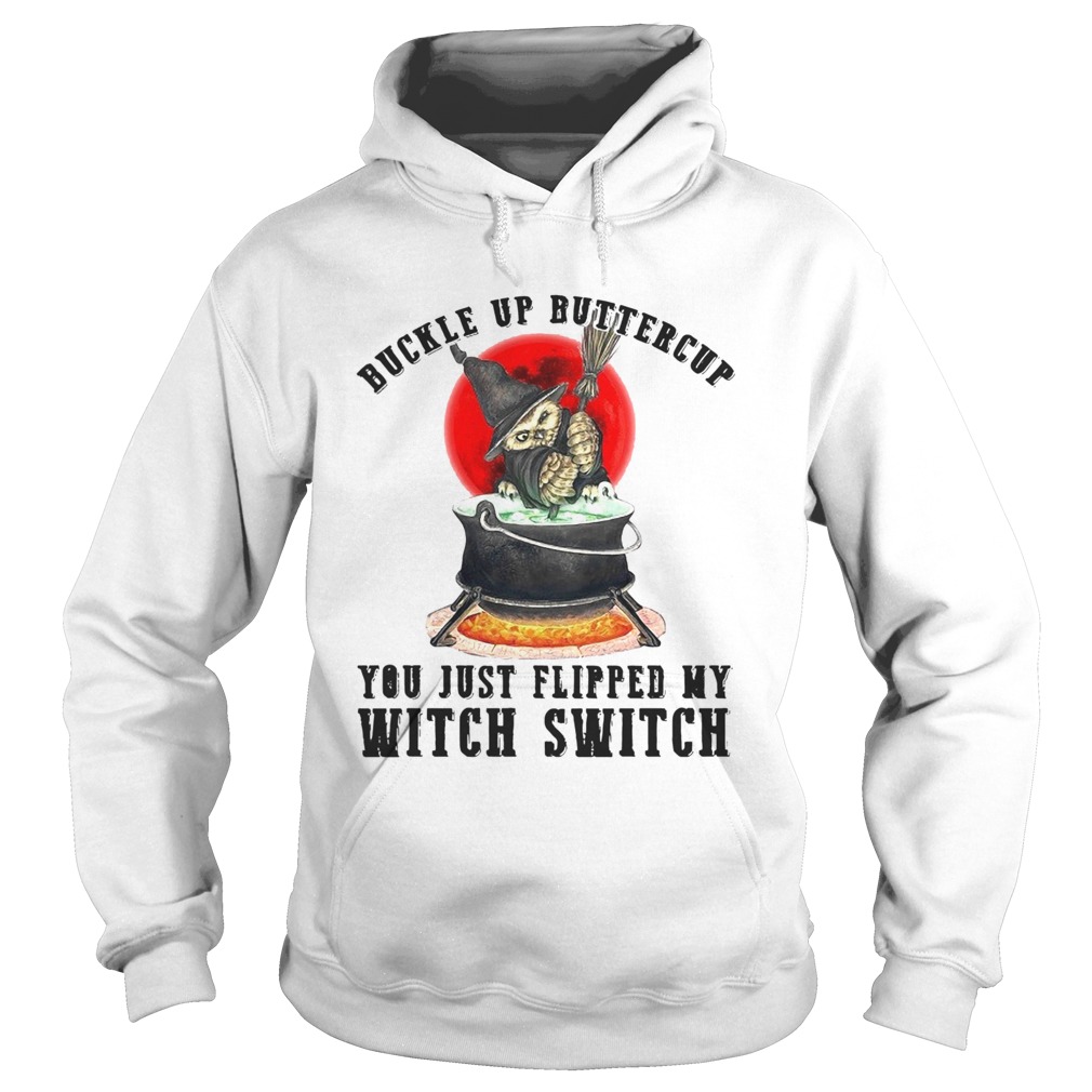 Premium Cat Buckle Up Buttercup You Just Flipped My Witch Switch Hoodie