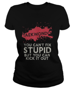 Taekwondo you cant fix stupid but you can kick it out  Classic Ladies