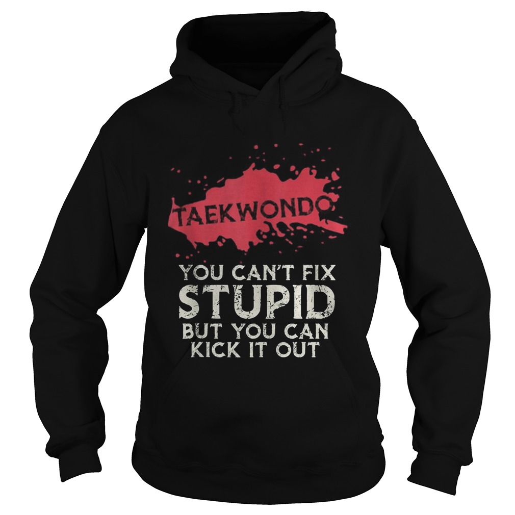 Taekwondo you cant fix stupid but you can kick it out  Hoodie