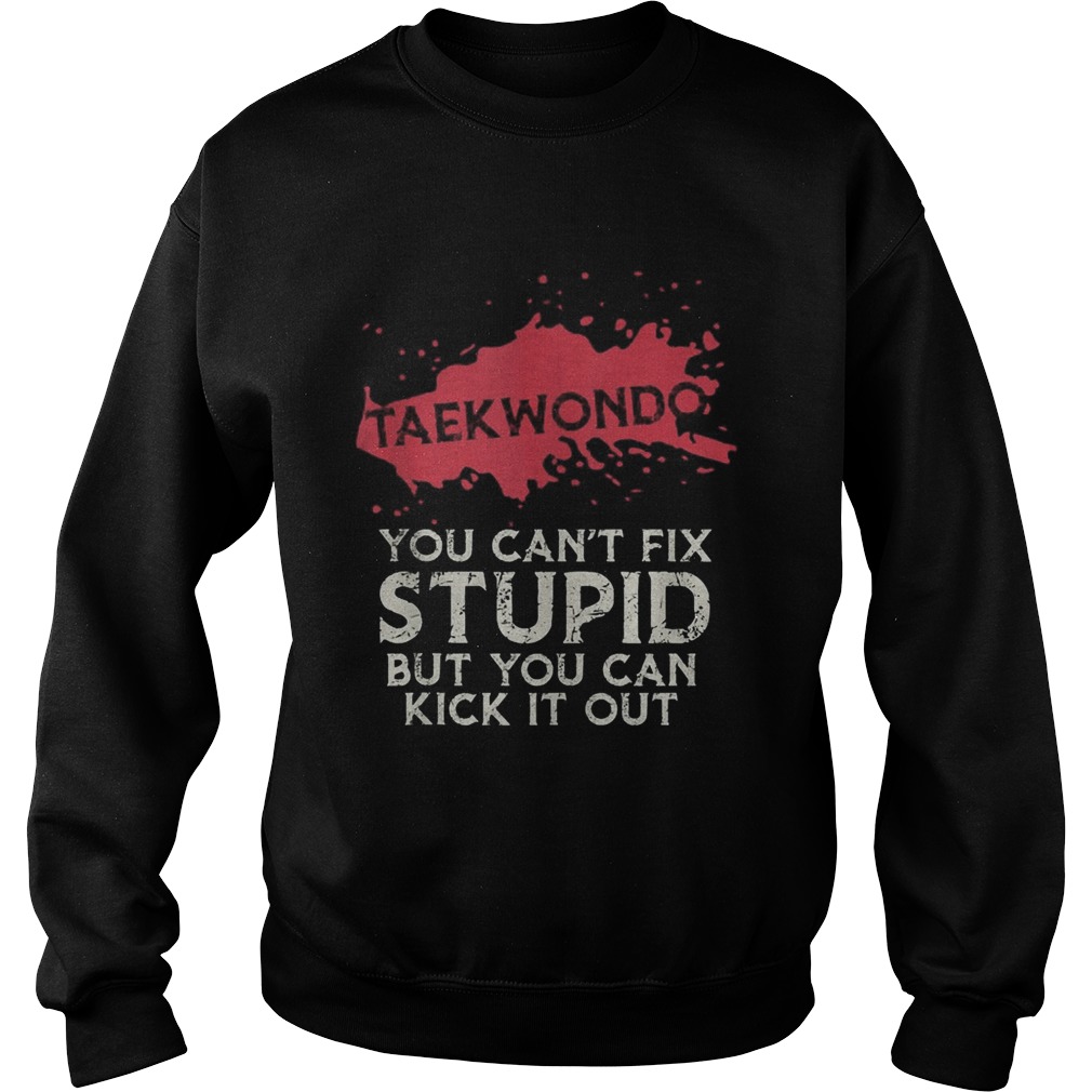 Taekwondo you cant fix stupid but you can kick it out  Sweatshirt