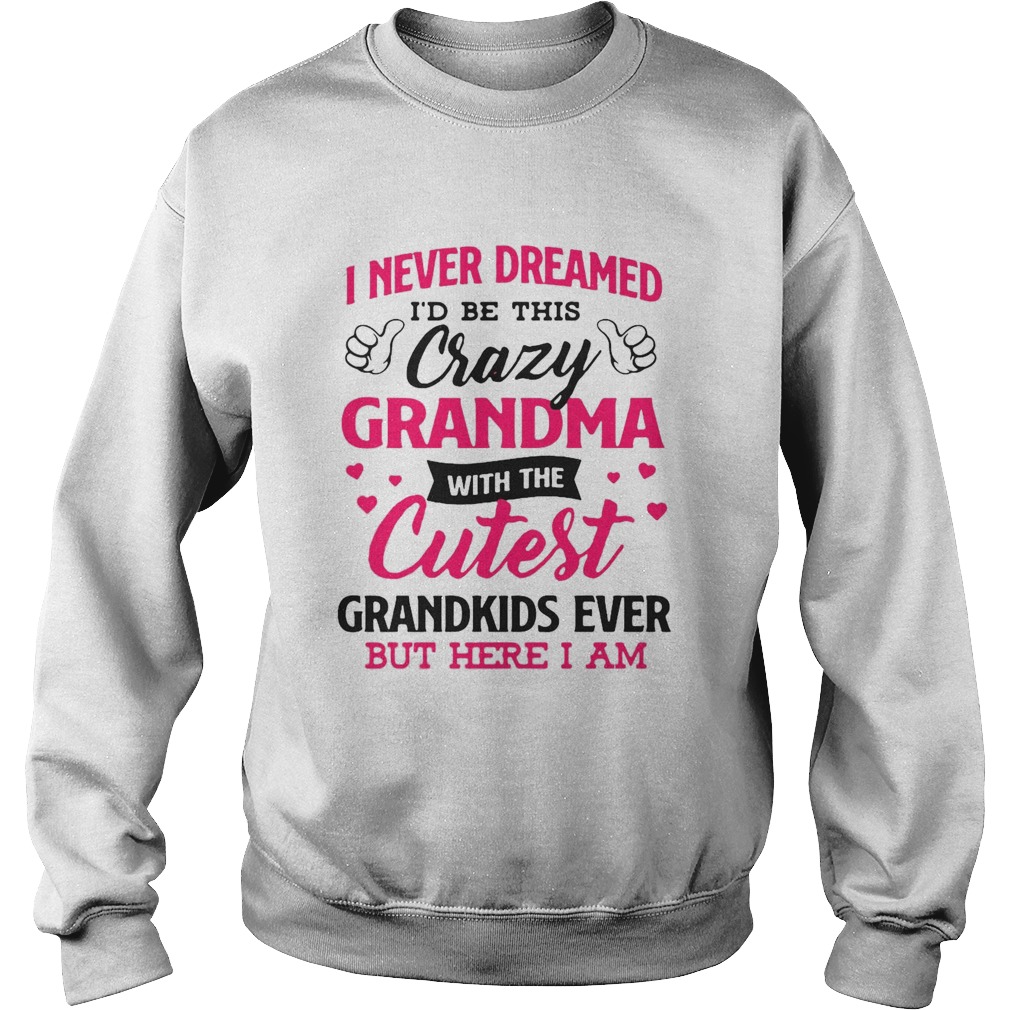 I Never Dreamed Id Be This Crazy Grandma With The Cutest Grandkids Ever But Here I Am Sweatshirt