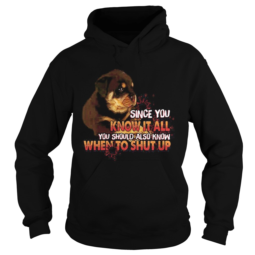 Since You Know It All You Should Also Know When To Shut Up Hoodie