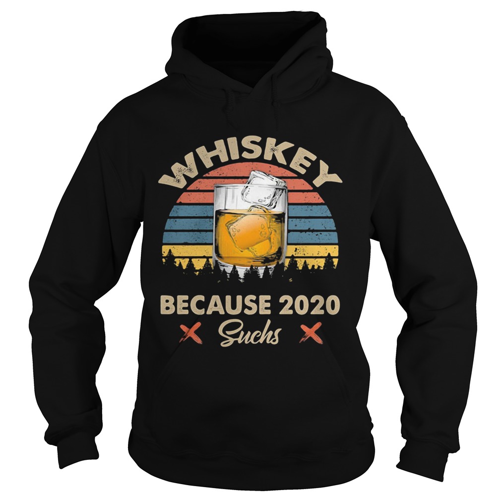 Whiskey because 2020 suchs vintage retro Hoodie