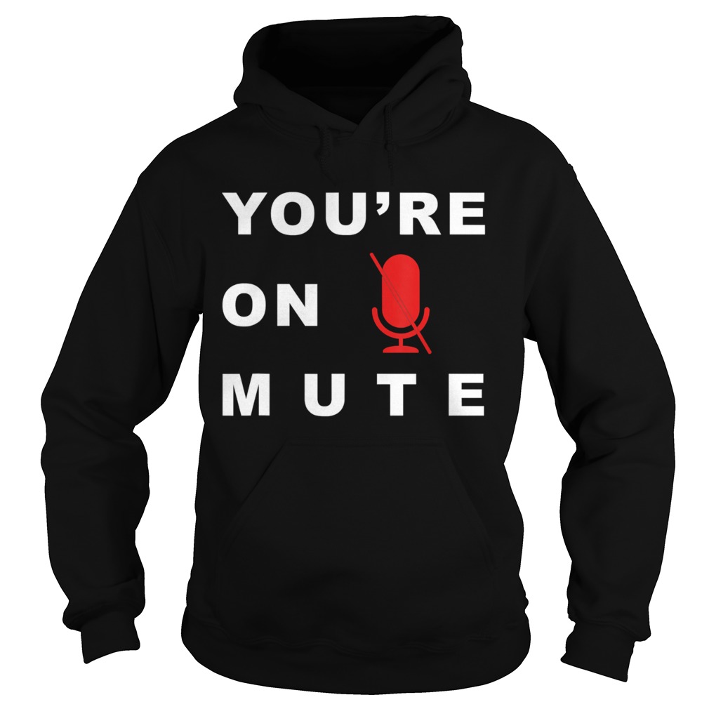 Youre On Mute Funny Quarantine Quote Novelty Hoodie