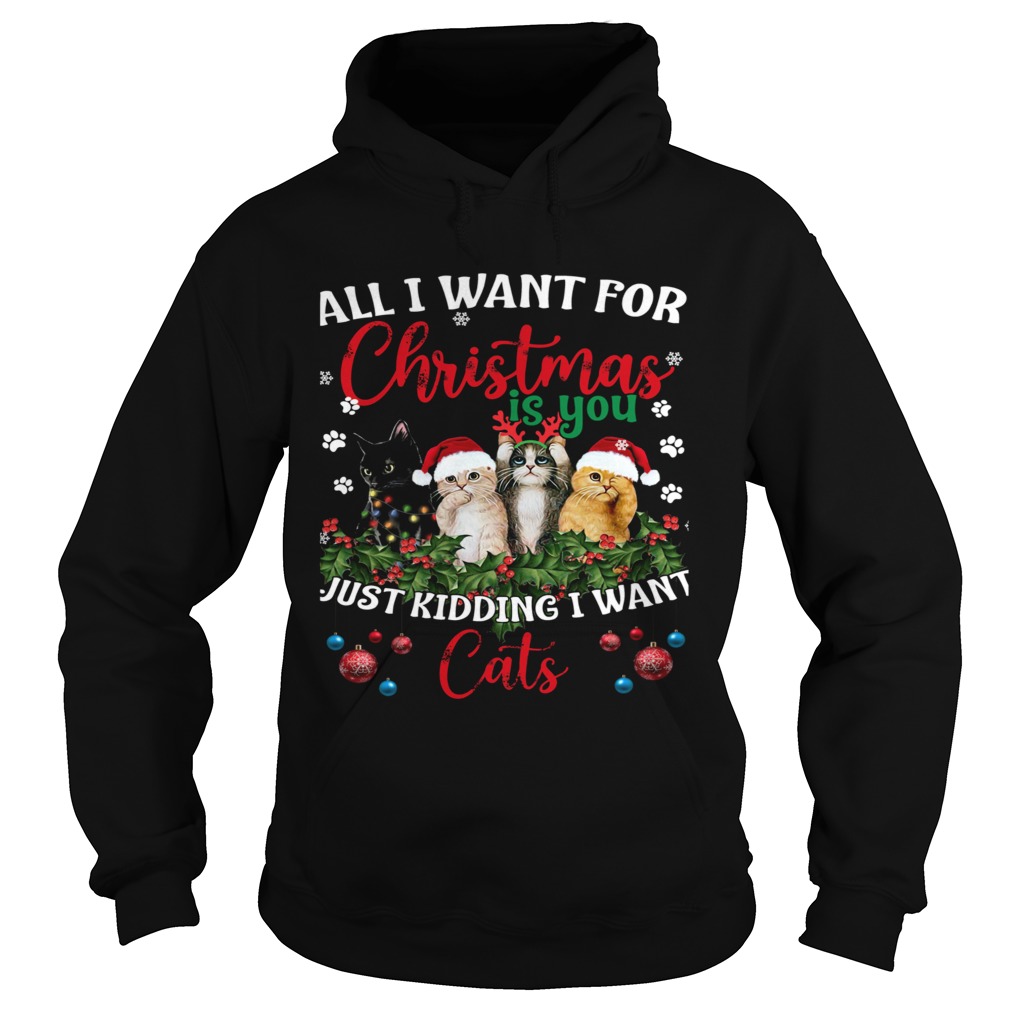 All I Want For Christmas Is You Just Kidding I Want Cats Hoodie