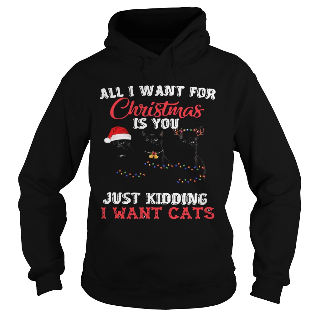 All I Want For Christmas Is You Just Kidding I Want Cats  Hoodie